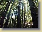 Hiking-Woodside-Oct2011 (8) * 3648 x 2736 * (6.02MB)